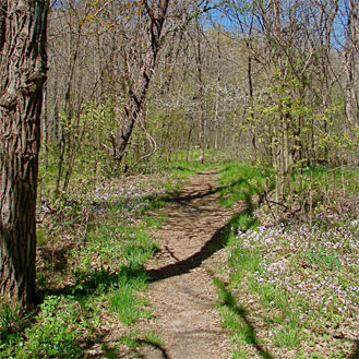 Trail Maps